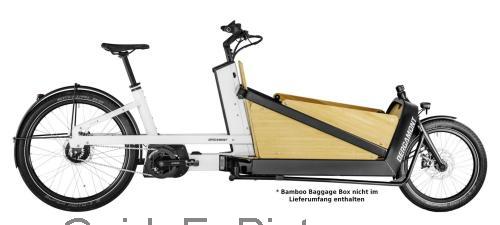 Bergamont E-Cargoville LJ Expert fiche technique et avis